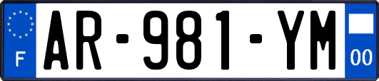 AR-981-YM