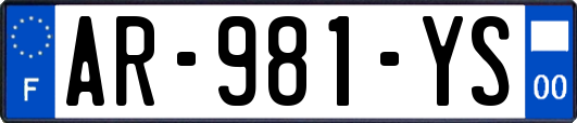 AR-981-YS