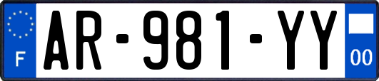 AR-981-YY
