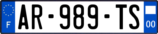 AR-989-TS