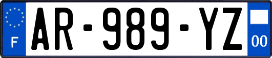 AR-989-YZ
