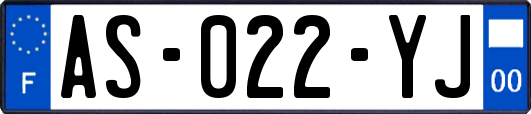 AS-022-YJ