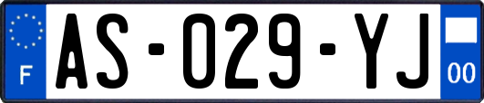 AS-029-YJ