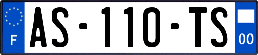 AS-110-TS
