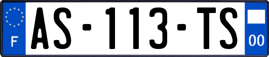 AS-113-TS