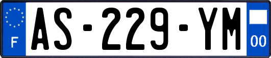 AS-229-YM
