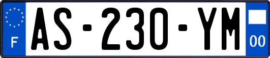 AS-230-YM