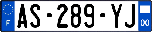 AS-289-YJ