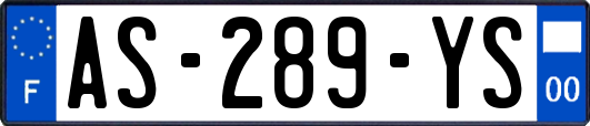AS-289-YS