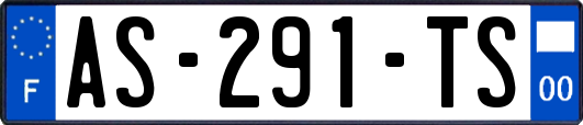 AS-291-TS