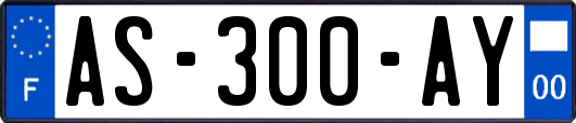 AS-300-AY