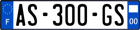 AS-300-GS