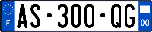 AS-300-QG