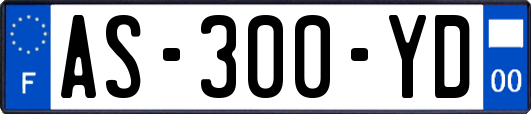 AS-300-YD