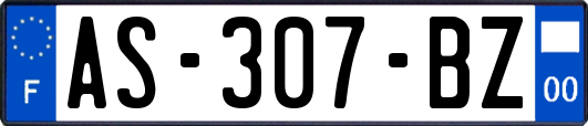 AS-307-BZ