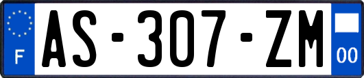 AS-307-ZM