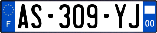 AS-309-YJ