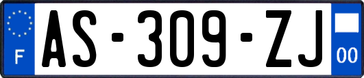 AS-309-ZJ