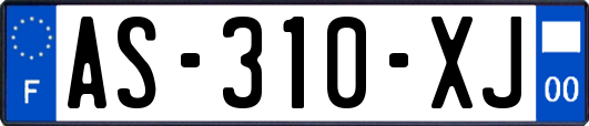 AS-310-XJ