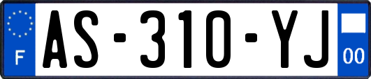 AS-310-YJ