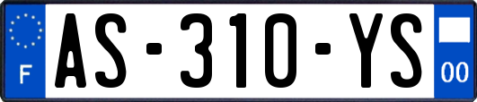 AS-310-YS