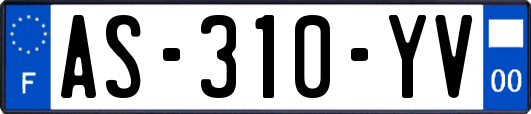 AS-310-YV