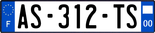 AS-312-TS