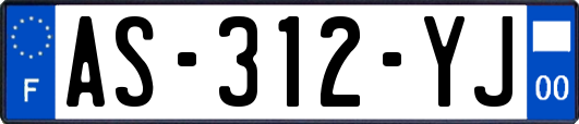 AS-312-YJ