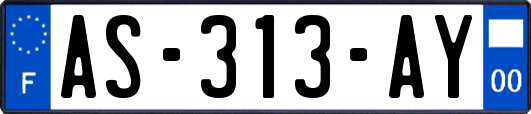 AS-313-AY