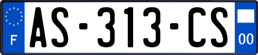 AS-313-CS