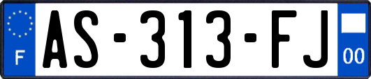 AS-313-FJ