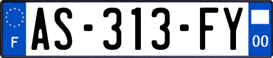 AS-313-FY