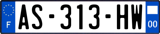 AS-313-HW