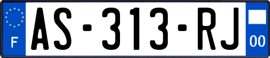 AS-313-RJ