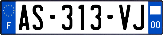 AS-313-VJ