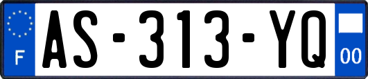 AS-313-YQ