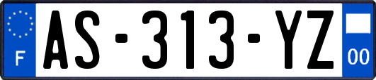 AS-313-YZ