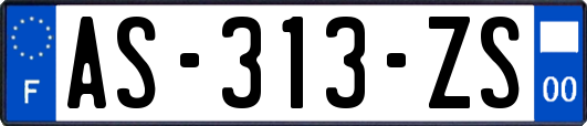 AS-313-ZS