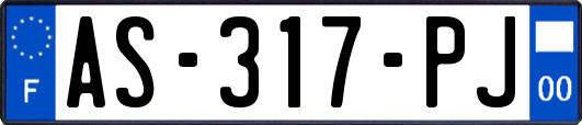 AS-317-PJ