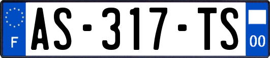 AS-317-TS