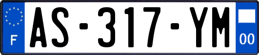 AS-317-YM