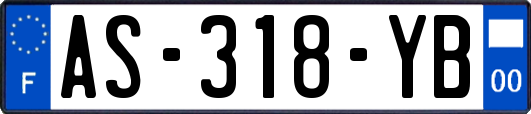 AS-318-YB