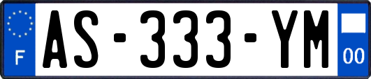 AS-333-YM
