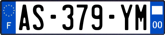 AS-379-YM
