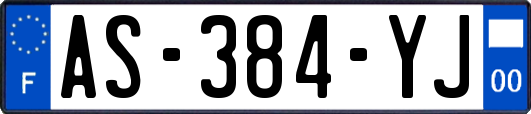 AS-384-YJ