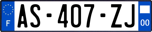 AS-407-ZJ