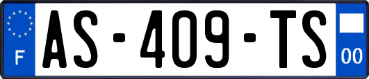 AS-409-TS