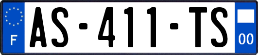 AS-411-TS