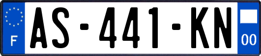 AS-441-KN