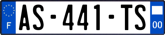 AS-441-TS